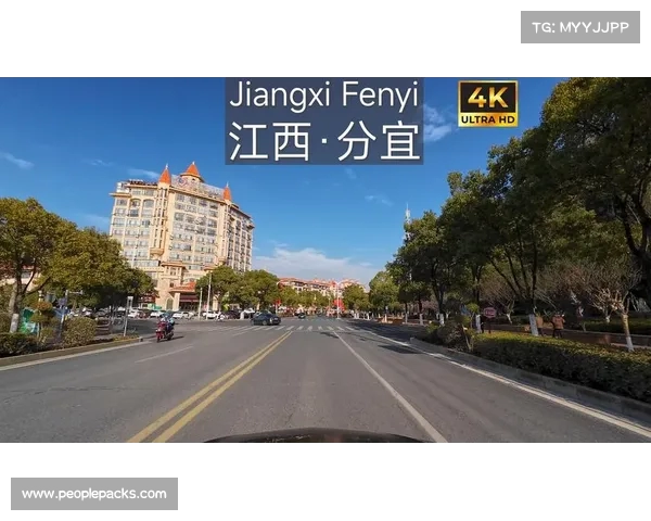 江西分宜:小白鹭向天工开物城飞翔 江西分宜:小白鹭向天工开物城飞翔